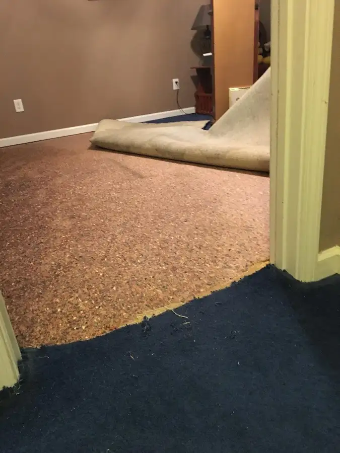 Carpet pad removal revealing water damage during Water Mitigation Services in Moore